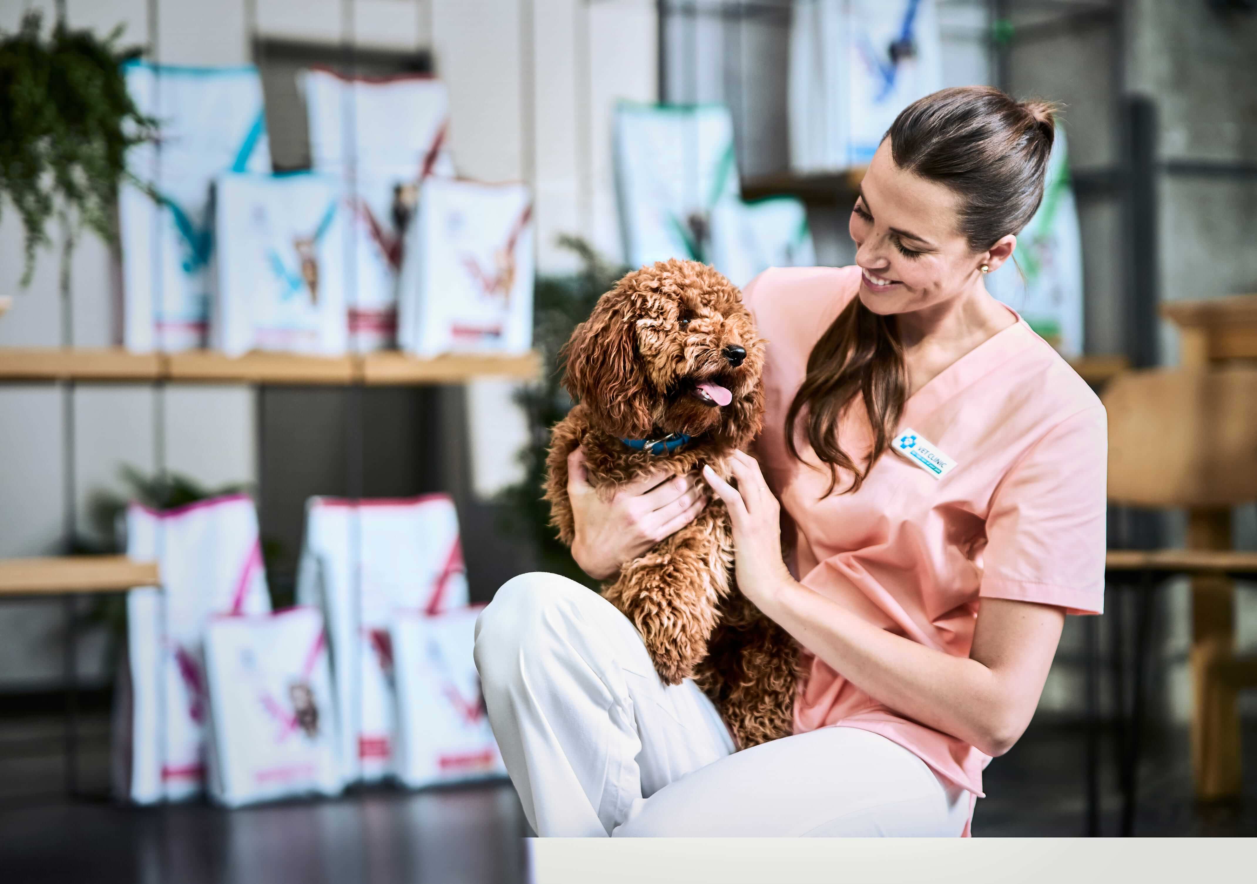 Kat grijpt naar etensbak