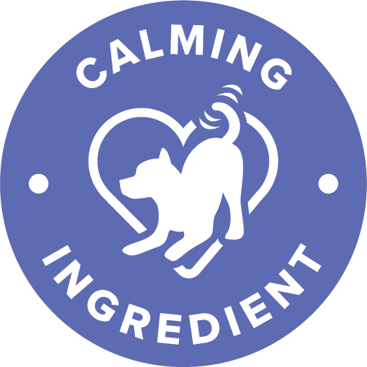 Pictogram ondersteuning van botten en gewrichten