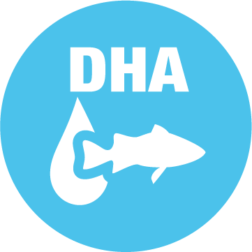 Pictogram ontwikkeling van de hersenen en ogen