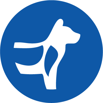 Pictogram ondersteuning van botten en gewrichten