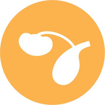 Pictogram gezondheid van de urinewegen