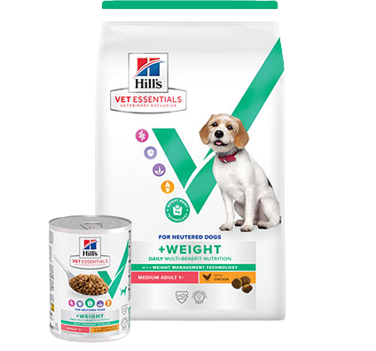 Hill's Vet Essentials voer voor gecastreerde honden
